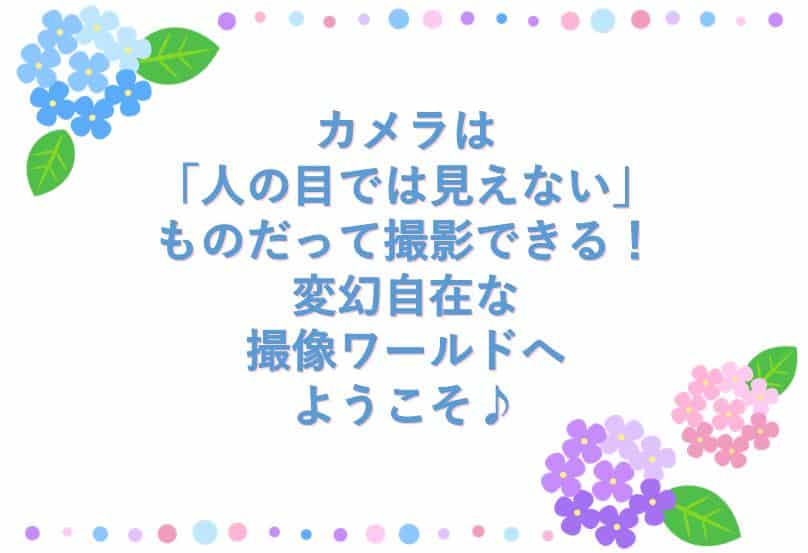 特殊撮像特集♪(2020年6回目) 1 202006 top