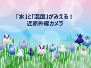 Read more about the article 「水」と「温度」がみえる！ 近赤外線カメラ（2022年5回目）