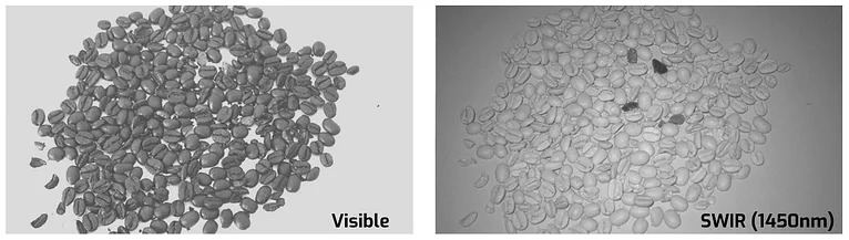 Coffee beans SWIR inspection
