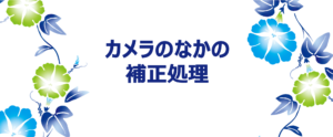 Read more about the article カメラのなかの補正処理（2022年7回目）