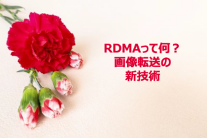 Read more about the article RDMAって何？画像転送の新技術（2023年5回目）
