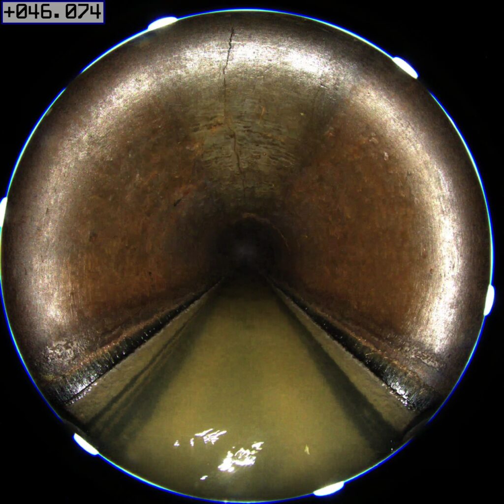 トップページ 変更サンプル 12 5