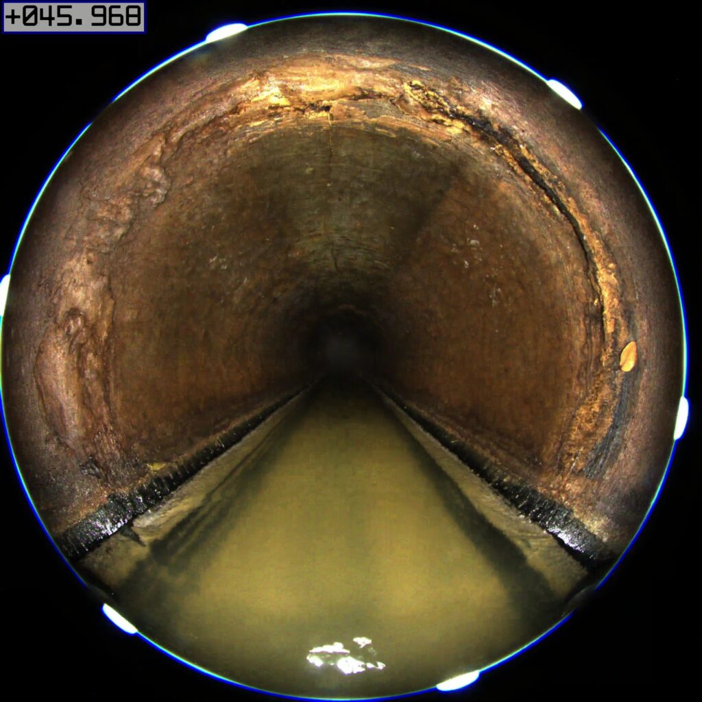 トップページ 変更サンプル 13 6